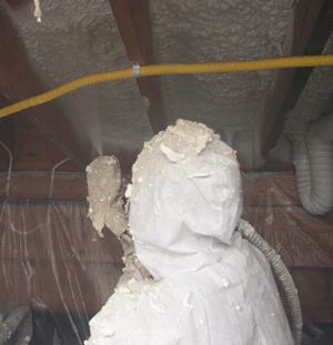 Pensacola FL crawl space insulation